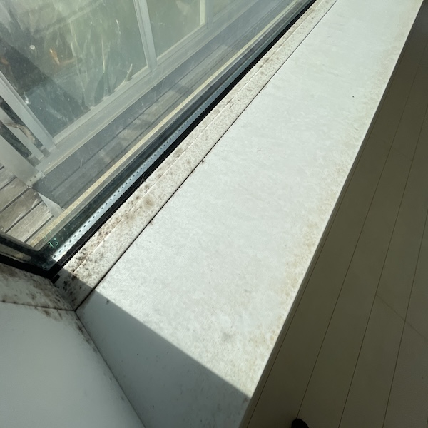 結露で悩まない!簡単&効果的な結露対策で快適な冬を過ごそう!